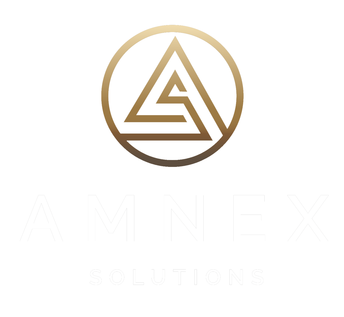 Amnex Solutions